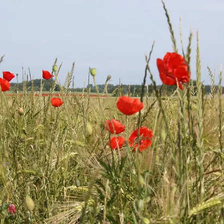 In For Zwei Personen Pepelow